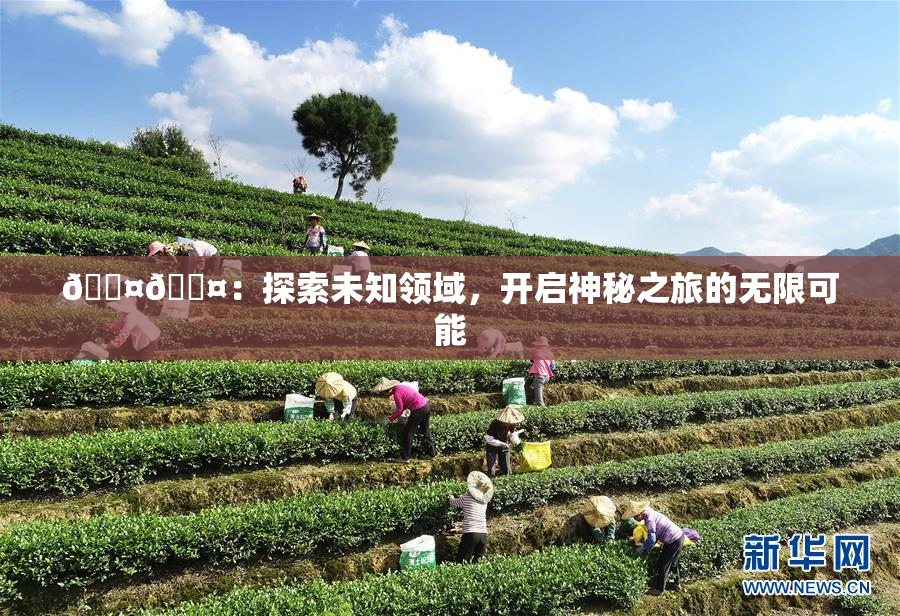 🐤🐤：探索未知领域，开启神秘之旅的无限可能