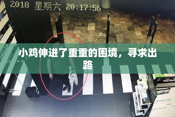 小鸡伸进了重重的困境，寻求出路