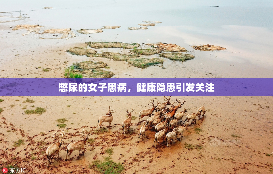 憋尿的女子患病，健康隐患引发关注