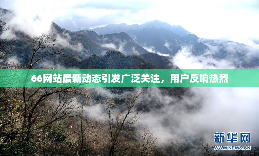 66网站最新动态引发广泛关注，用户反响热烈