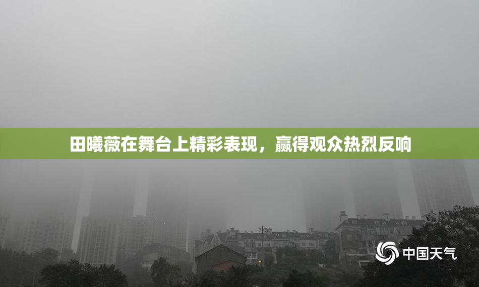 田曦薇在舞台上精彩表现，赢得观众热烈反响