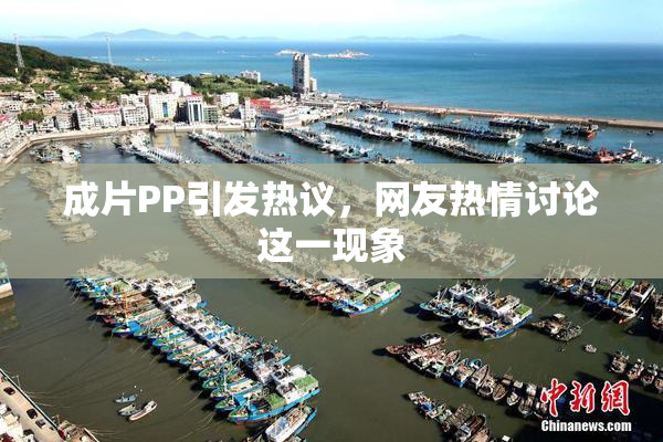 成片PP引发热议，网友热情讨论这一现象
