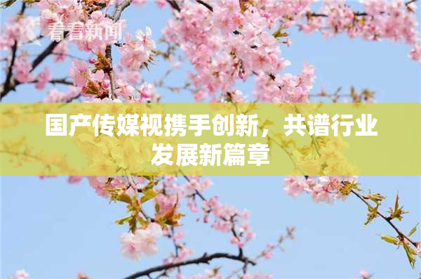 国产传媒视携手创新，共谱行业发展新篇章