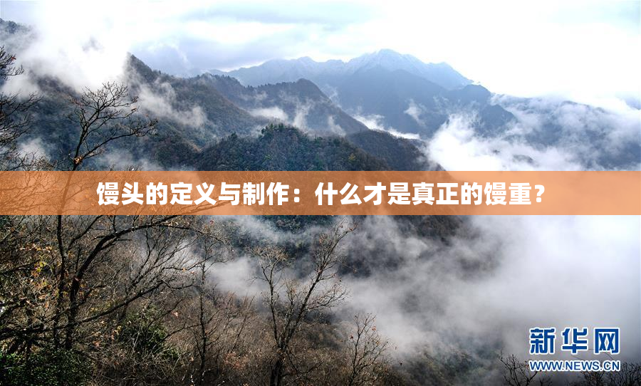 馒头的定义与制作：什么才是真正的馒重？
