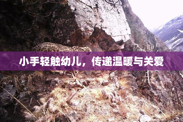 小手轻触幼儿，传递温暖与关爱