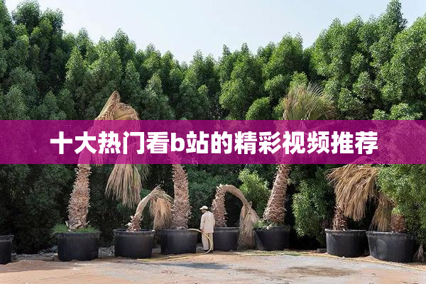 十大热门看b站的精彩视频推荐