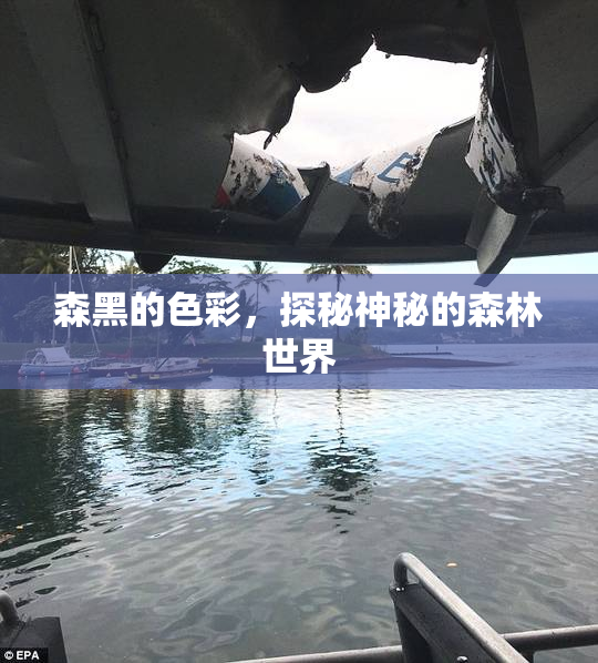 森黑的色彩，探秘神秘的森林世界