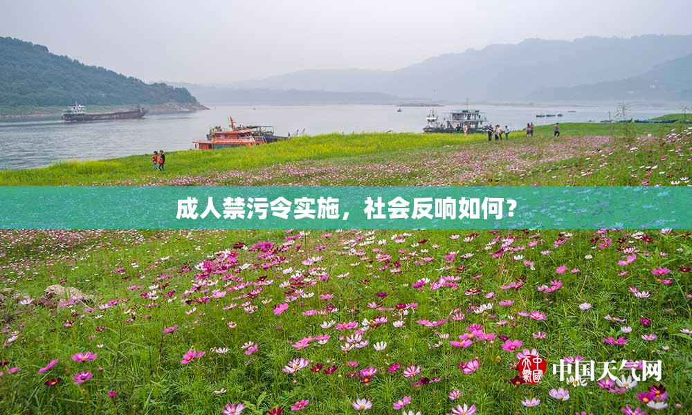 成人禁污令实施，社会反响如何？