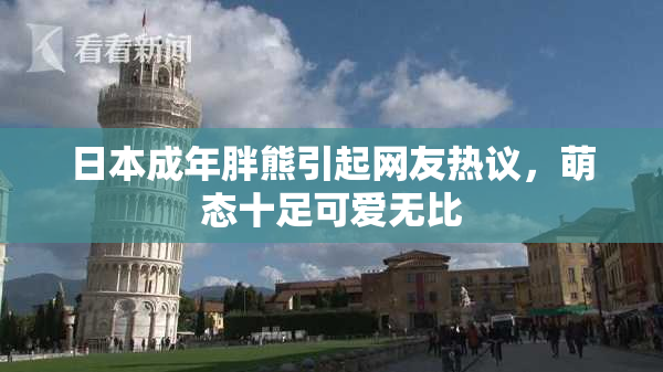 日本成年胖熊引起网友热议，萌态十足可爱无比