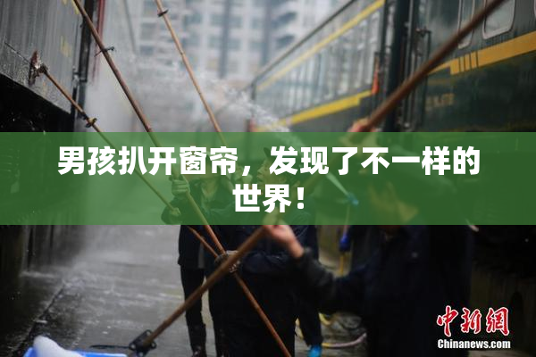 男孩扒开窗帘，发现了不一样的世界！