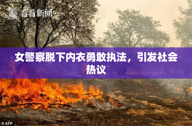 女警察脱下内衣勇敢执法，引发社会热议
