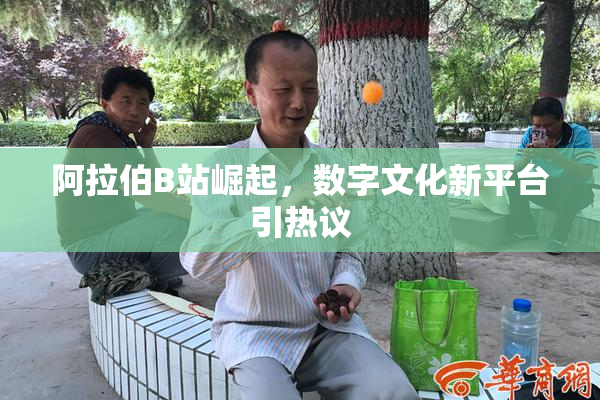 阿拉伯B站崛起，数字文化新平台引热议