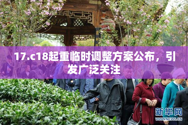 17.c18起重临时调整方案公布，引发广泛关注