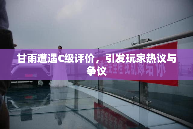甘雨遭遇C级评价，引发玩家热议与争议