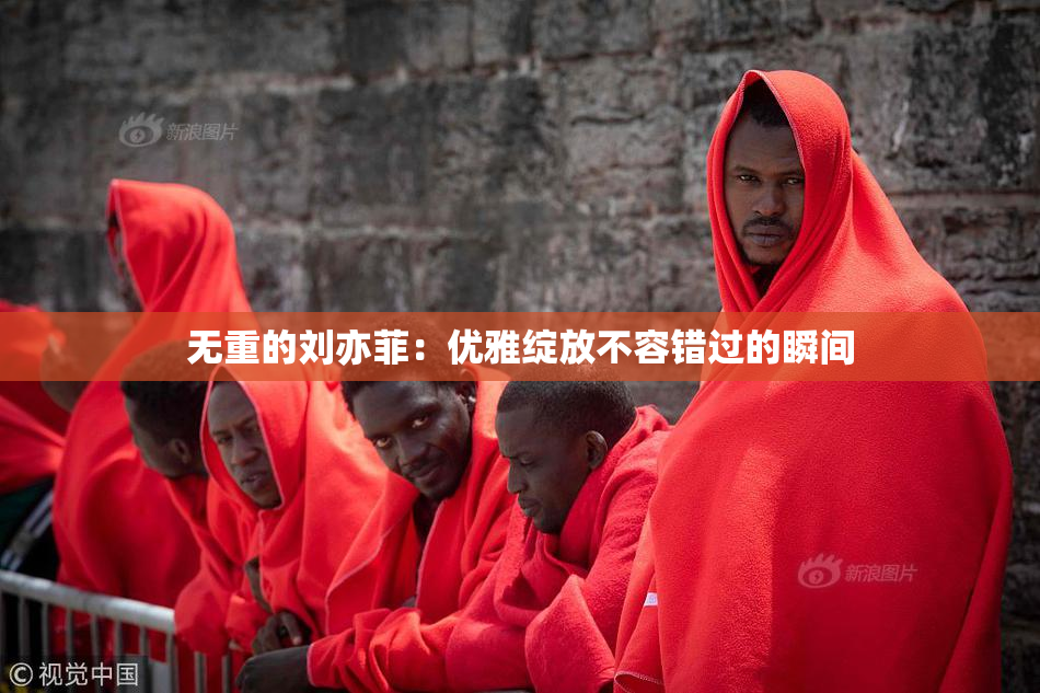 无重的刘亦菲：优雅绽放不容错过的瞬间