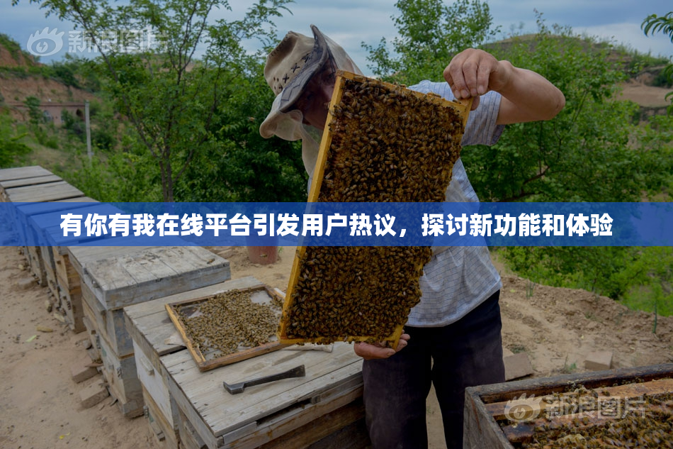 有你有我在线平台引发用户热议，探讨新功能和体验