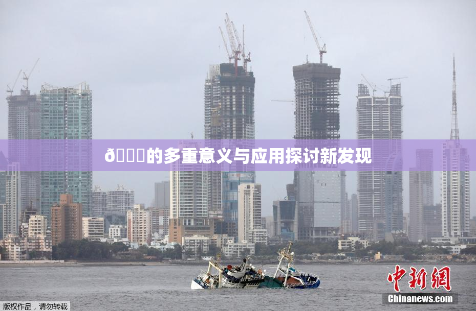 🍆的多重意义与应用探讨新发现