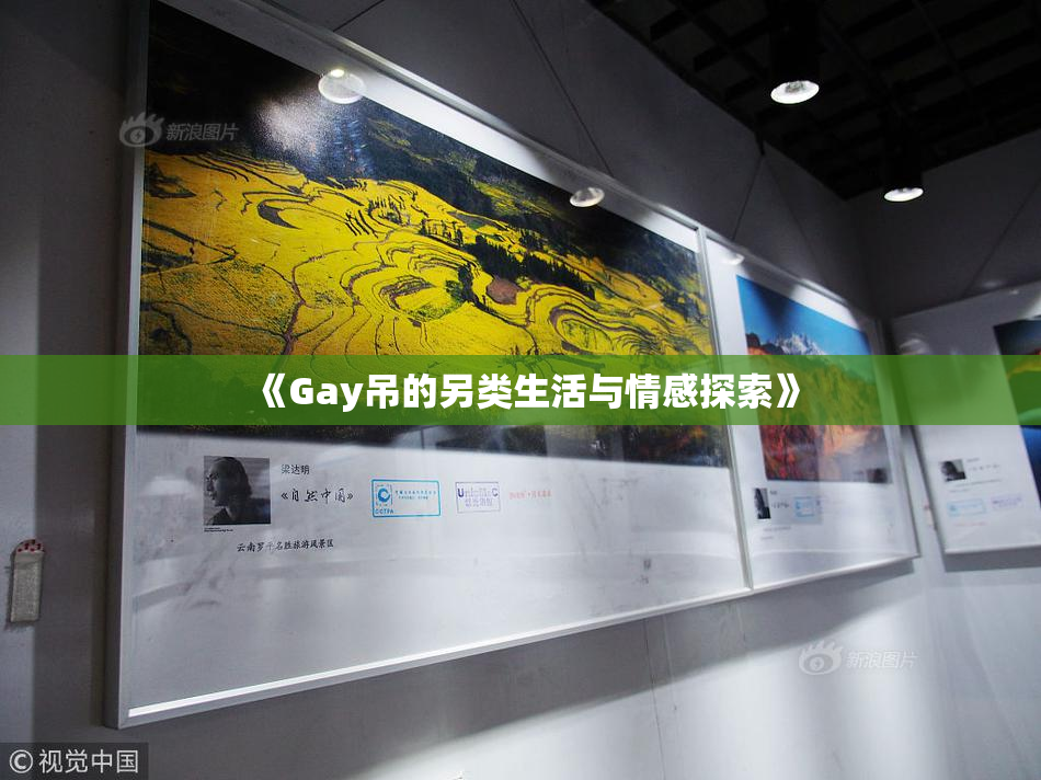 《Gay吊的另类生活与情感探索》