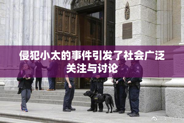 侵犯小太的事件引发了社会广泛关注与讨论