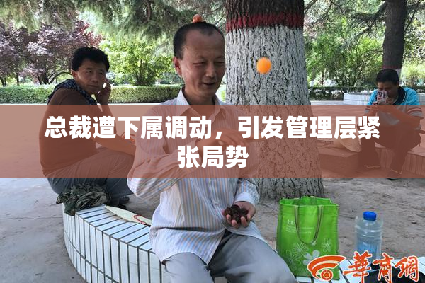 总裁遭下属调动，引发管理层紧张局势