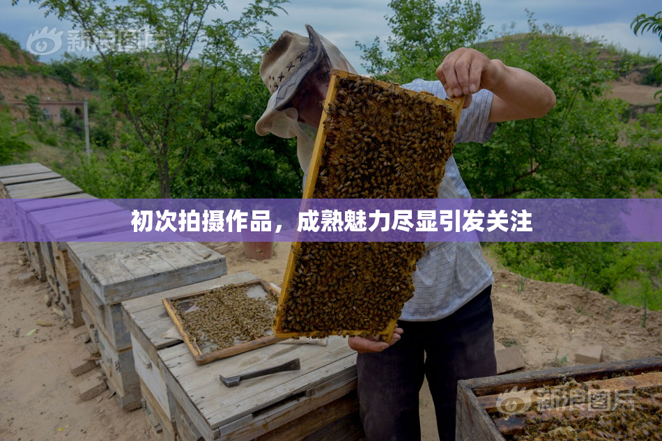 初次拍摄作品，成熟魅力尽显引发关注