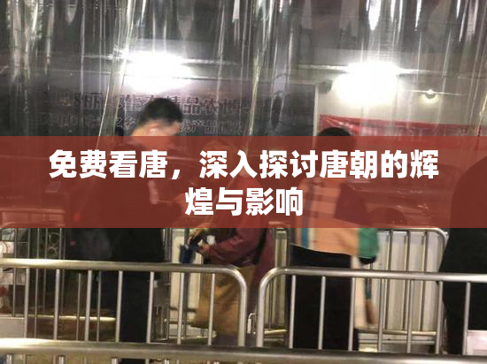 免费看唐，深入探讨唐朝的辉煌与影响