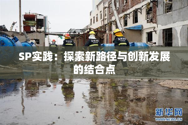SP实践：探索新路径与创新发展的结合点