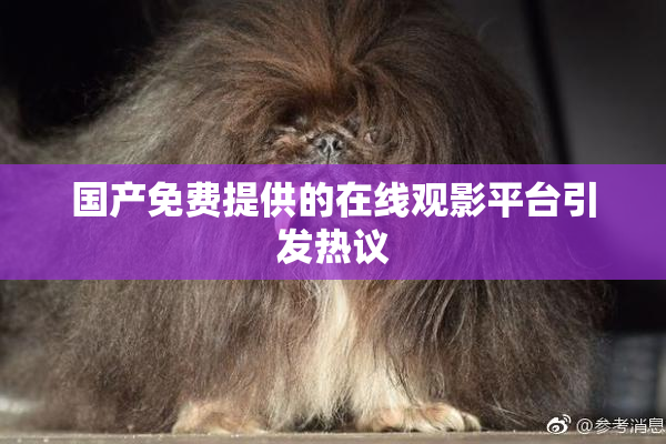国产免费提供的在线观影平台引发热议