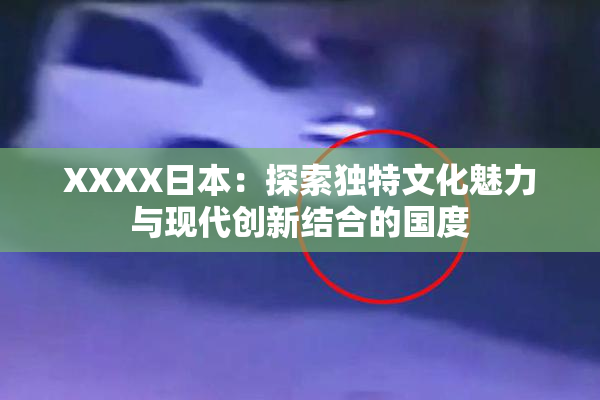 XXXX日本：探索独特文化魅力与现代创新结合的国度