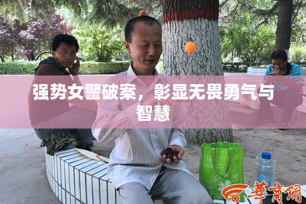强势女警破案，彰显无畏勇气与智慧