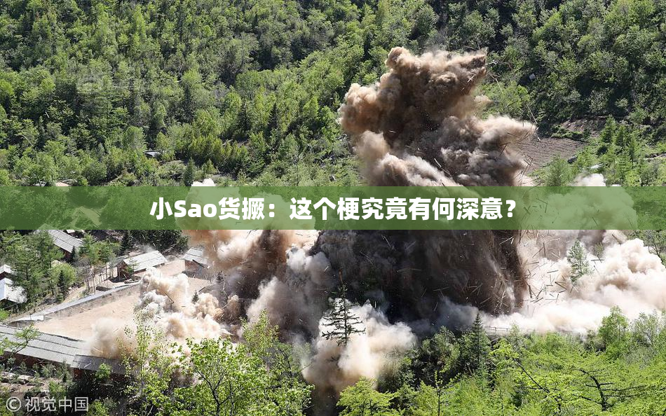小Sao货撅：这个梗究竟有何深意？