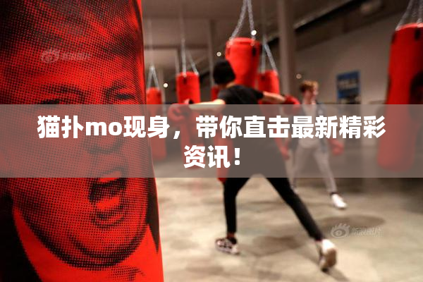 猫扑mo现身，带你直击最新精彩资讯！