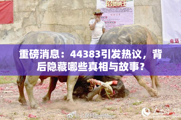 重磅消息：44383引发热议，背后隐藏哪些真相与故事？