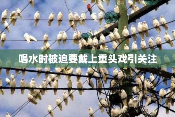 喝水时被迫要戴上重头戏引关注