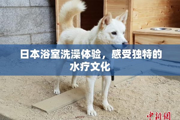 日本浴室洗澡体验，感受独特的水疗文化