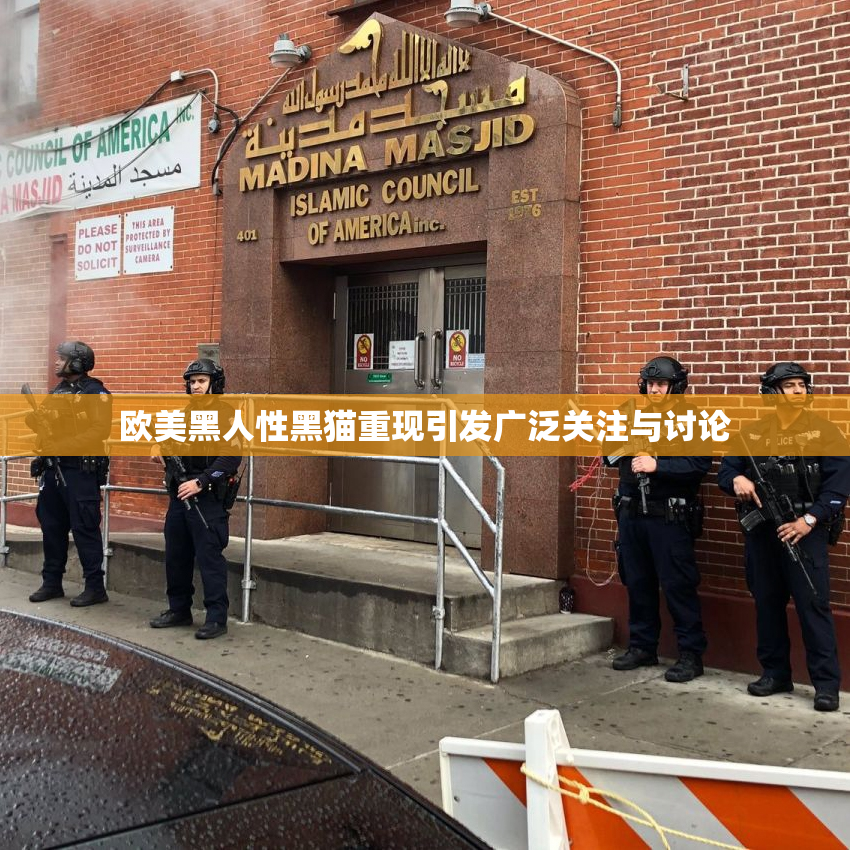 欧美黑人性黑猫重现引发广泛关注与讨论