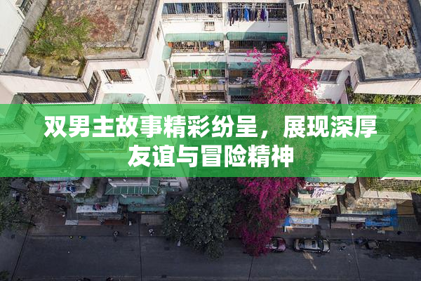 双男主故事精彩纷呈，展现深厚友谊与冒险精神