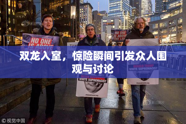 双龙入室，惊险瞬间引发众人围观与讨论