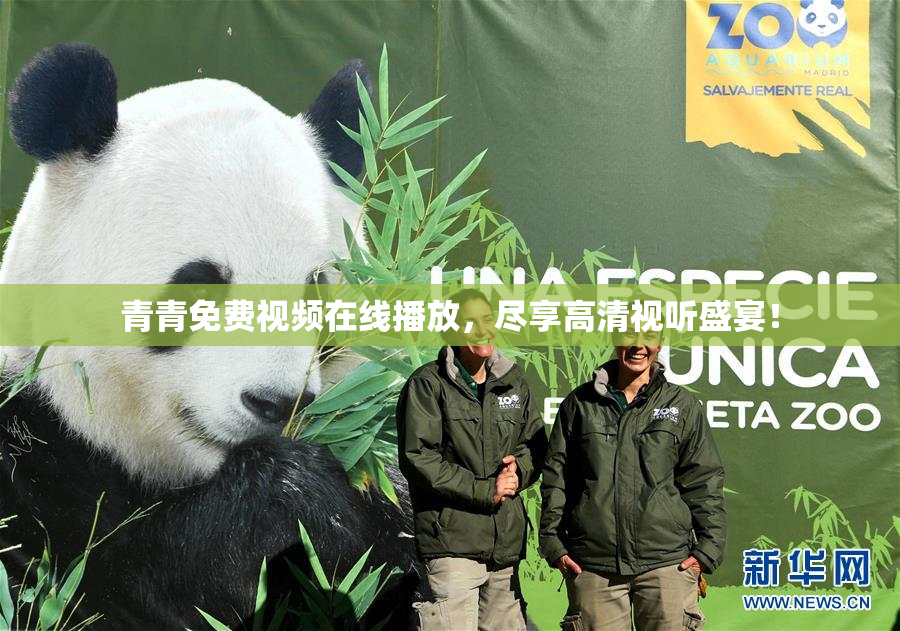 青青免费视频在线播放，尽享高清视听盛宴！