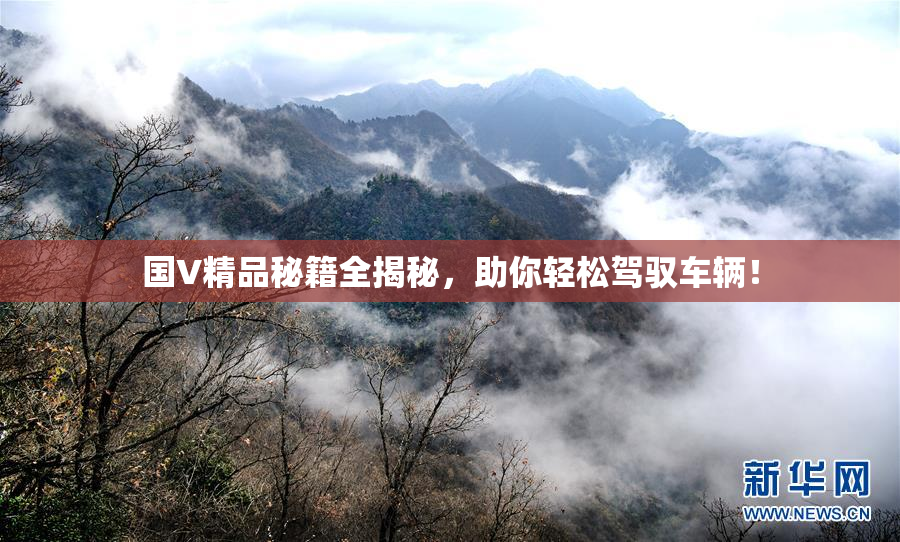 国V精品秘籍全揭秘，助你轻松驾驭车辆！