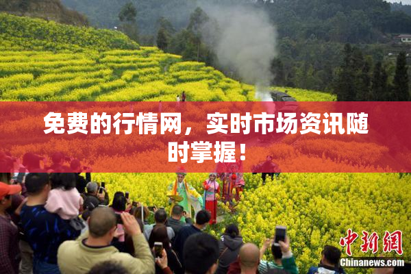 免费的行情网，实时市场资讯随时掌握！