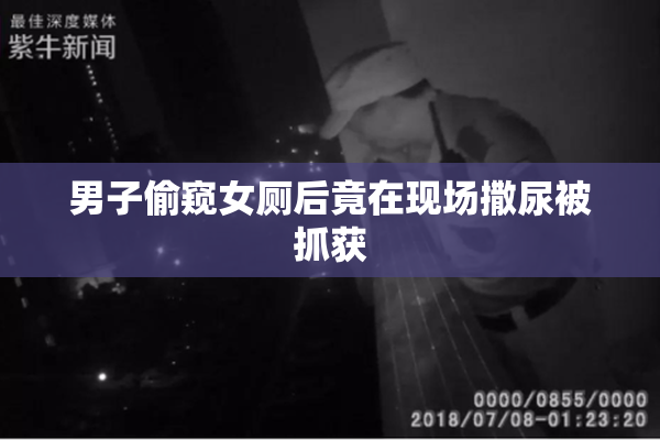 男子偷窥女厕后竟在现场撒尿被抓获