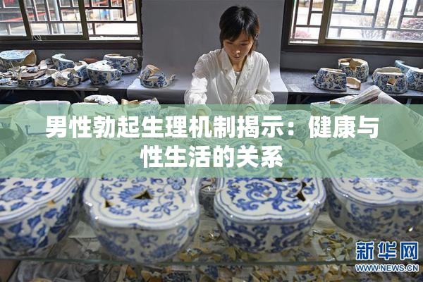 男性勃起生理机制揭示：健康与性生活的关系