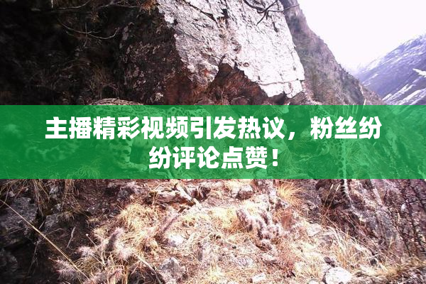 主播精彩视频引发热议，粉丝纷纷评论点赞！