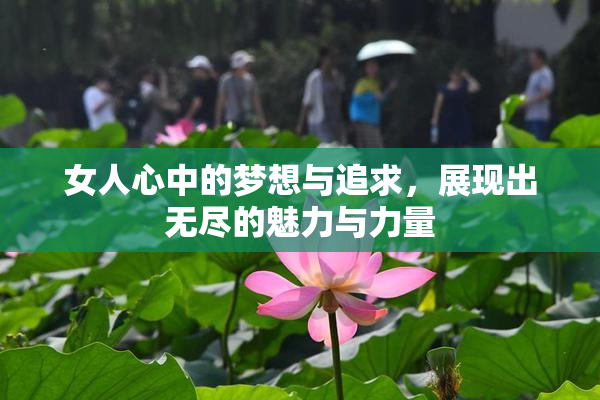 女人心中的梦想与追求，展现出无尽的魅力与力量