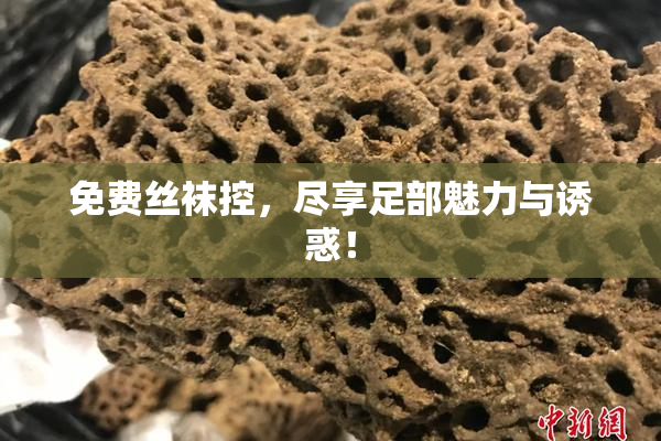 免费丝袜控，尽享足部魅力与诱惑！
