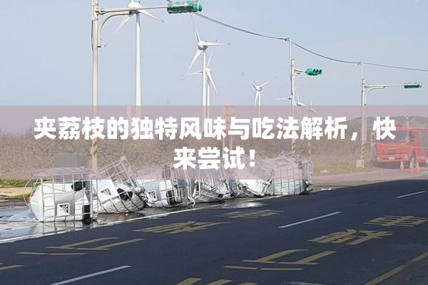 夹荔枝的独特风味与吃法解析，快来尝试！