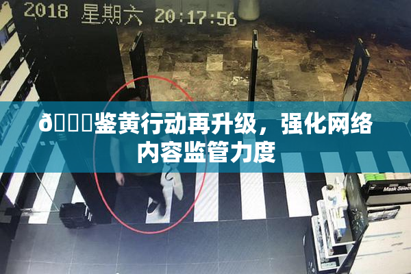 🔞鉴黄行动再升级，强化网络内容监管力度