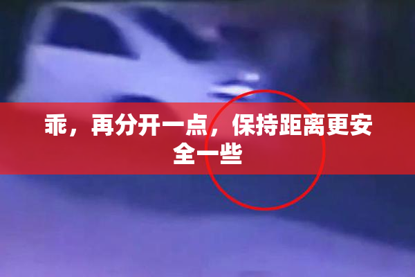 乖，再分开一点，保持距离更安全一些