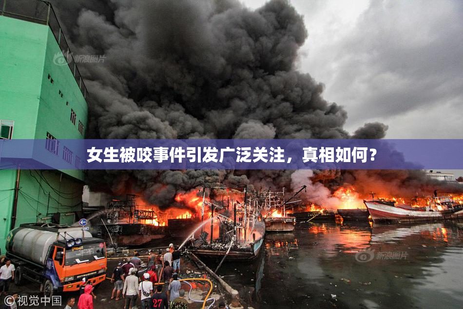 女生被咬事件引发广泛关注，真相如何？